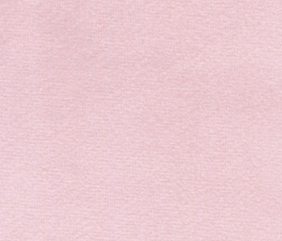 Blush Pink Velvet Lady Bow Collar