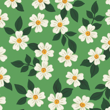 Dainty Daisies Collar Walk Set