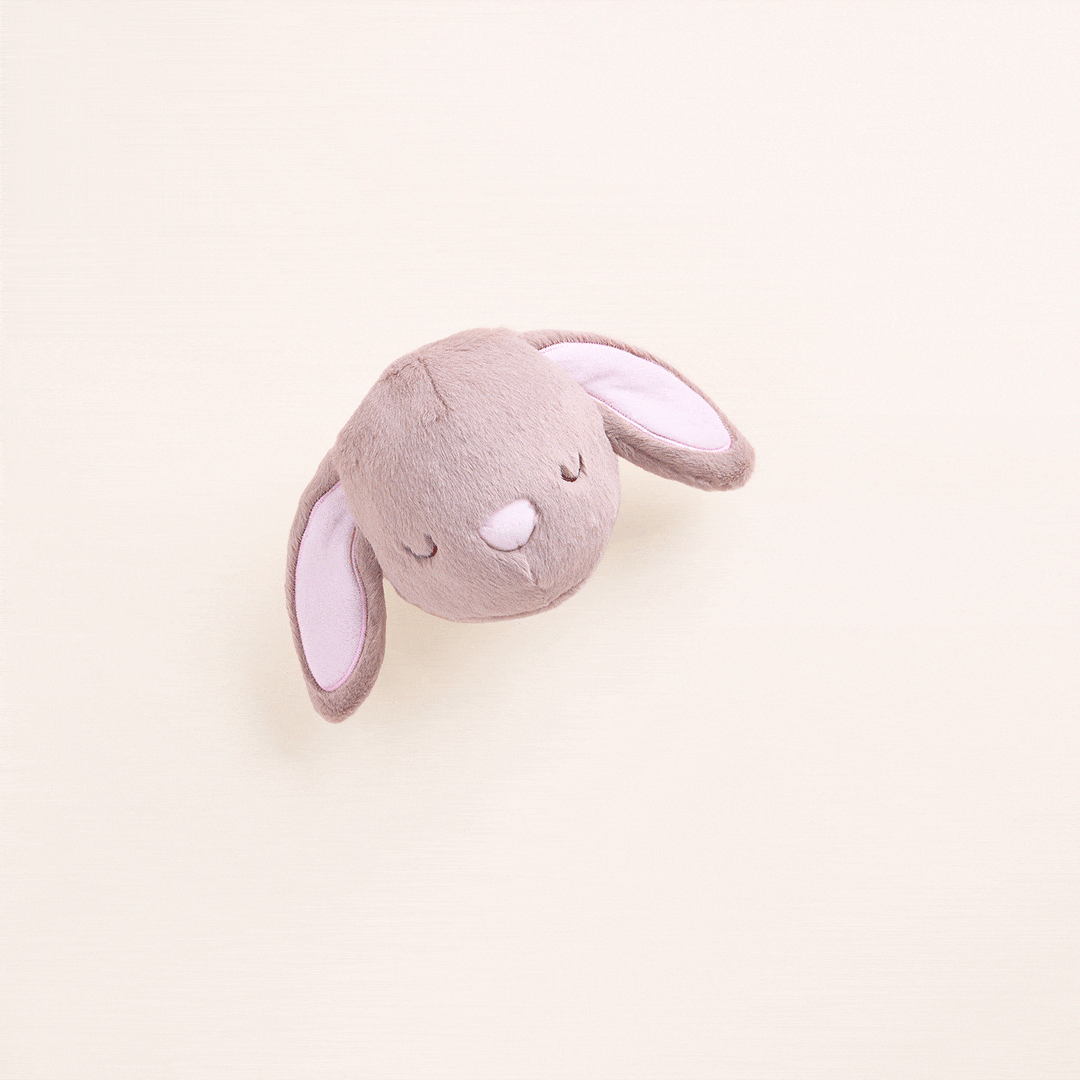 Bunny 2-in-1 Bounce Dog Toy