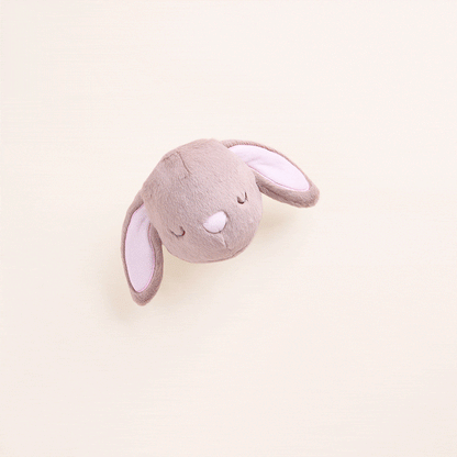 Bunny 2-in-1 Bounce Dog Toy