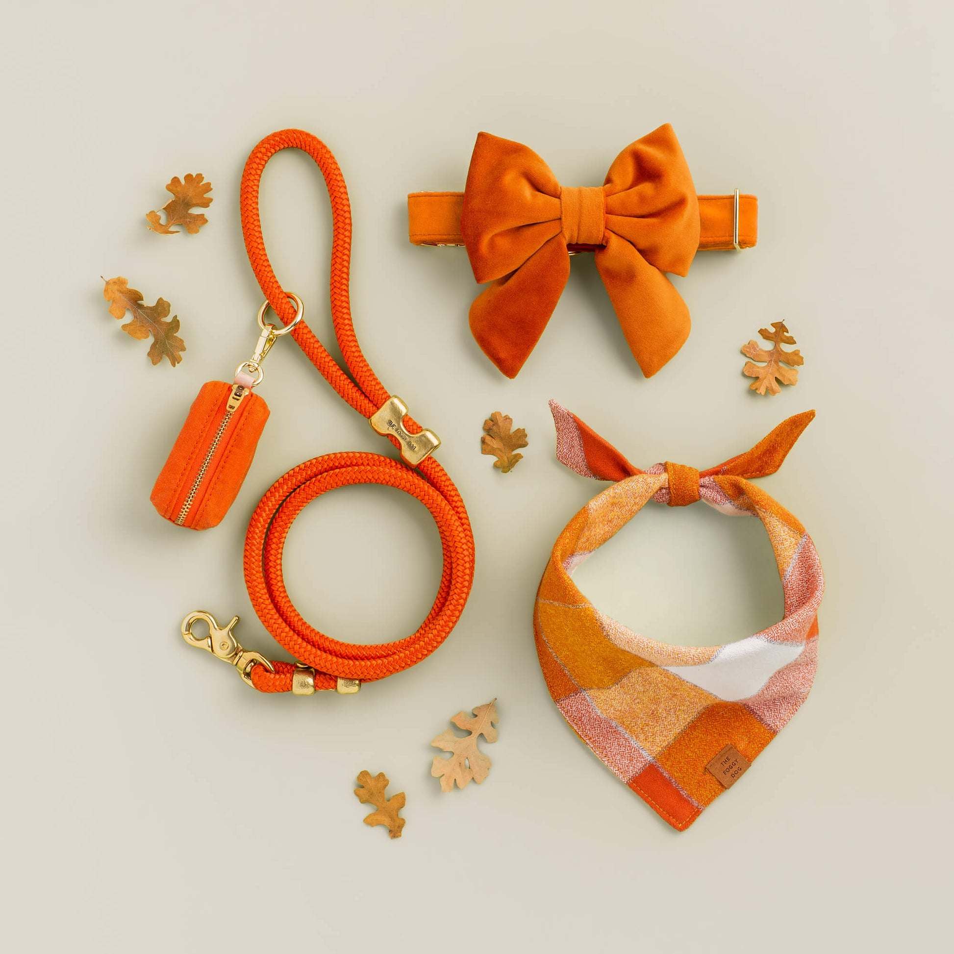 Cider Marine Rope Dog Leash