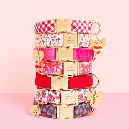 Take a Bow Dog Collar