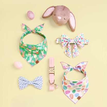 Bunny 2-in-1 Bounce Dog Toy