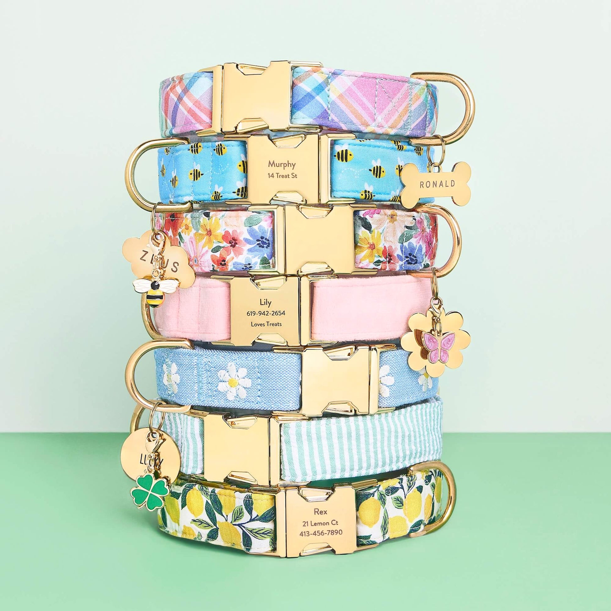 Blooming Plaid Dog Collar