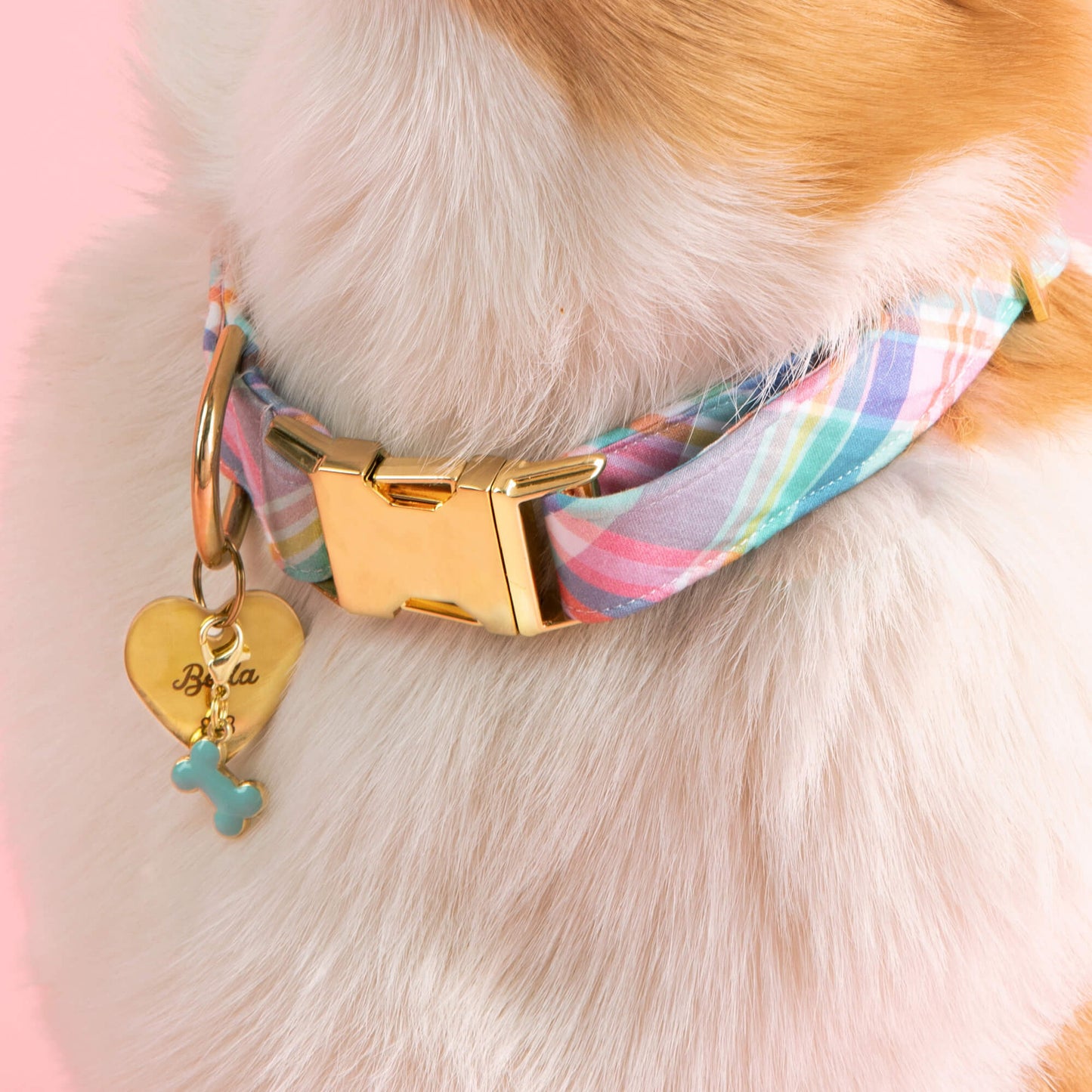 Blooming Plaid Dog Collar