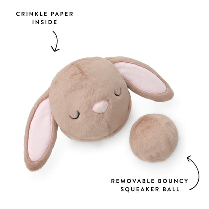 Bunny 2-in-1 Bounce Dog Toy
