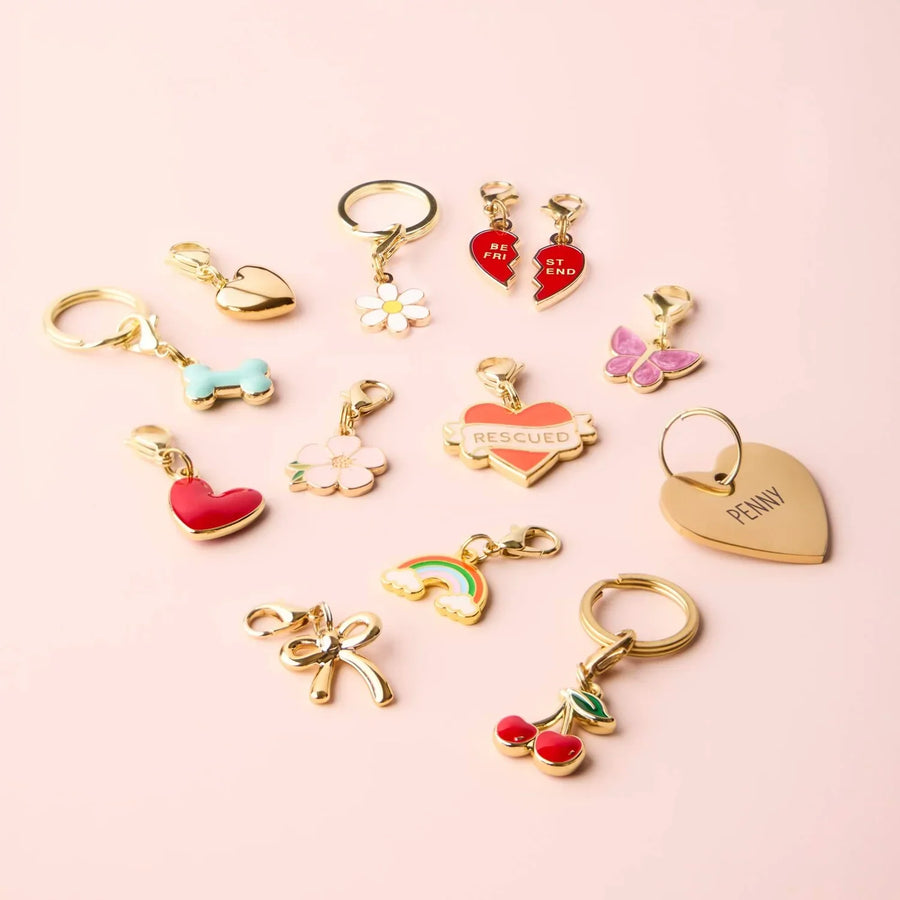 Collar Charms