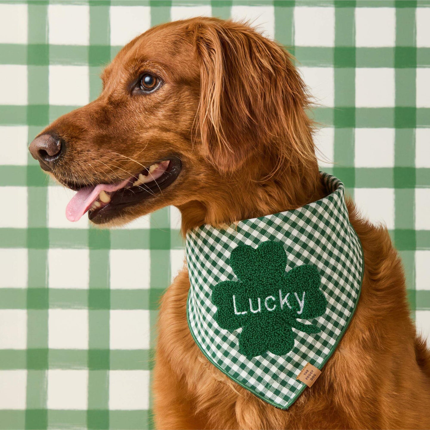 Clover Applique Dog Bandana