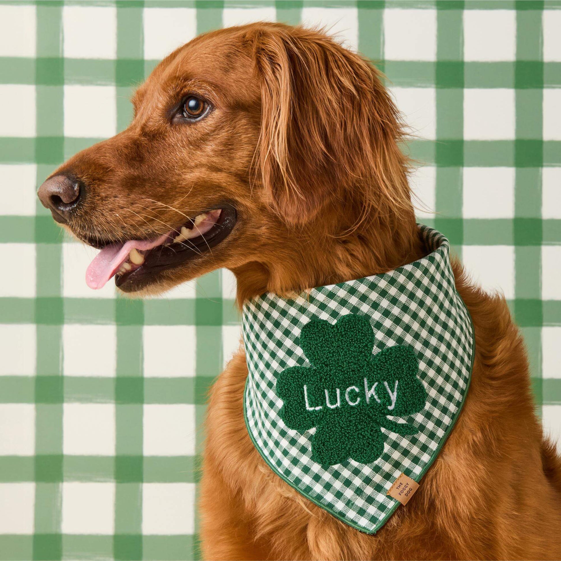 Clover Applique Dog Bandana