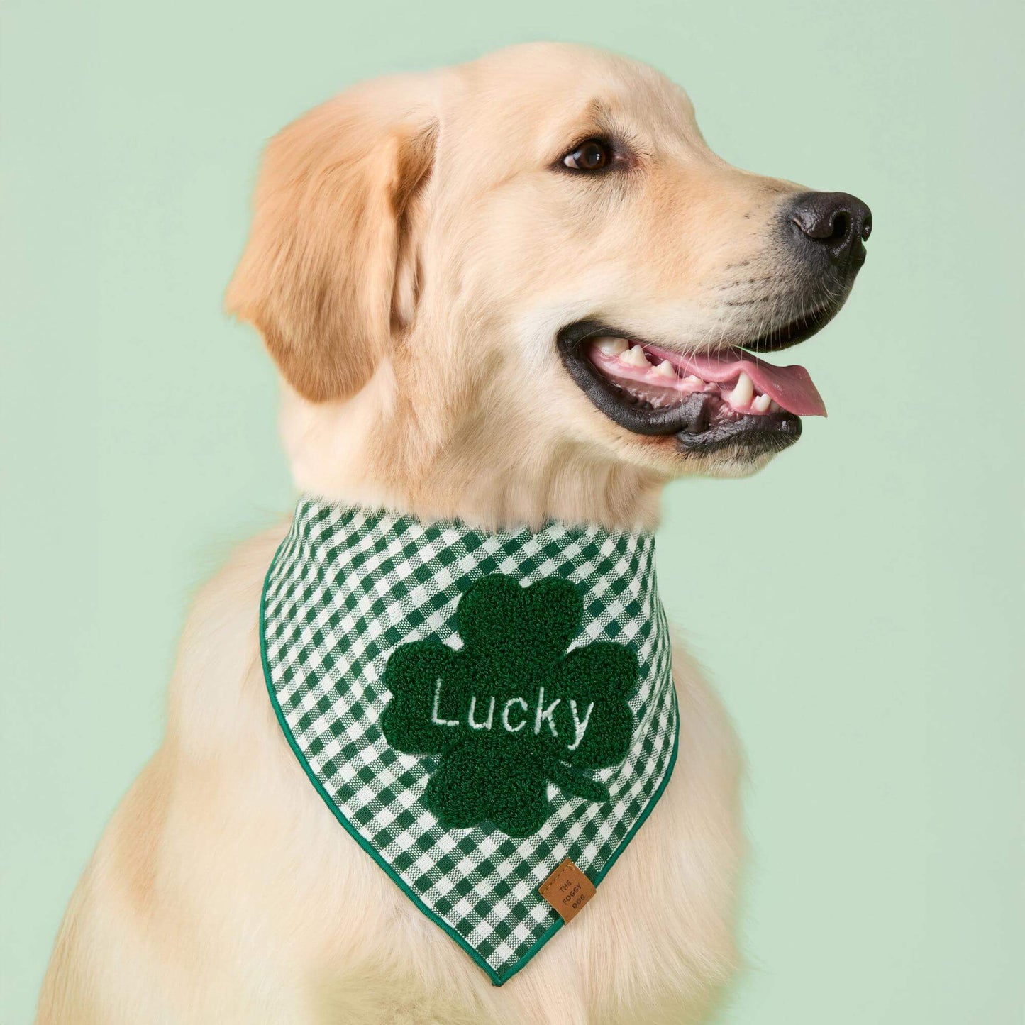 Clover Applique Dog Bandana