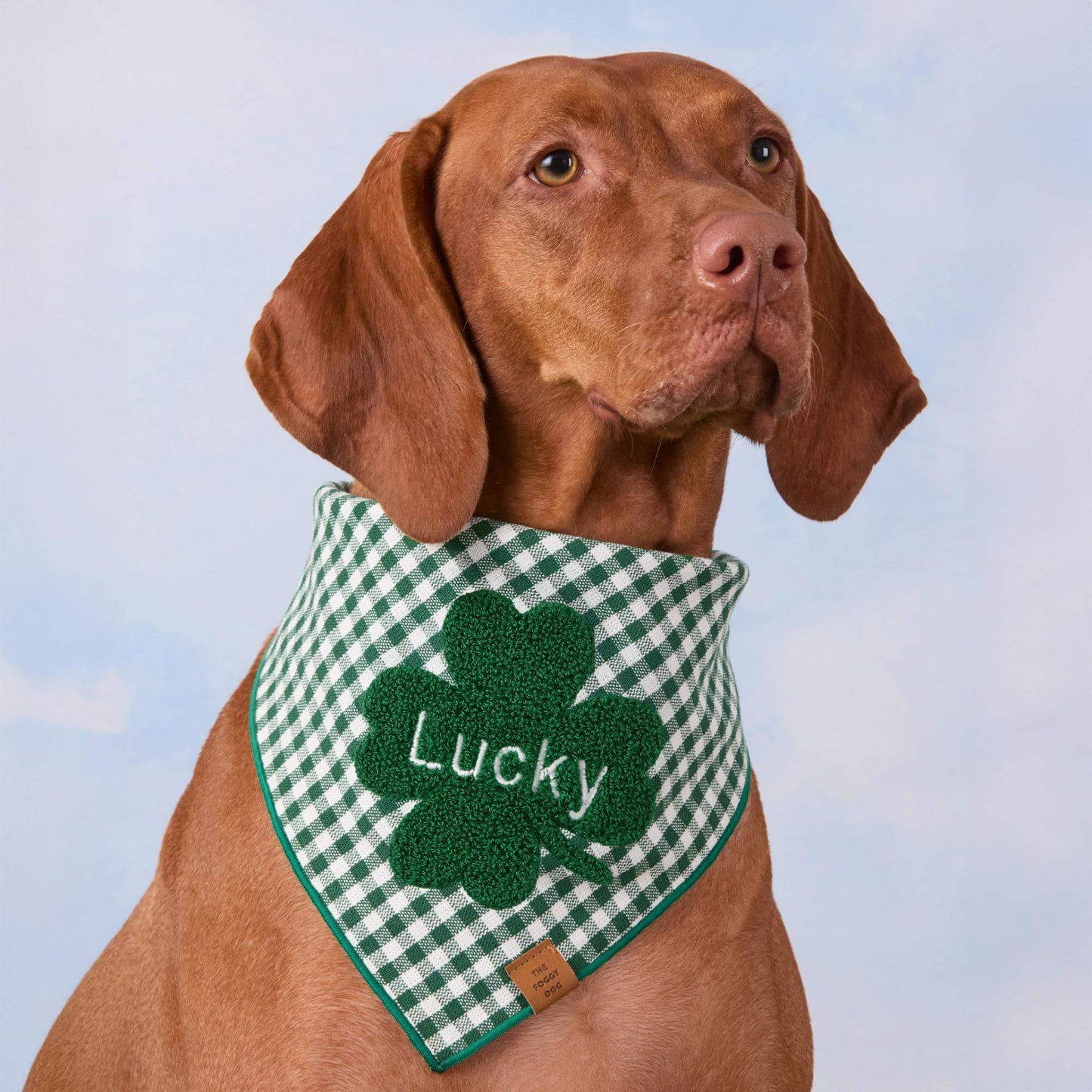 Clover Applique Dog Bandana