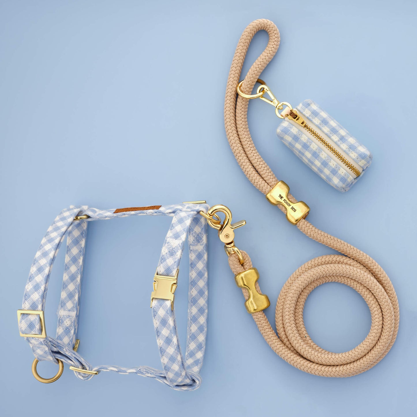 Sky Blue Gingham Harness Walk Set