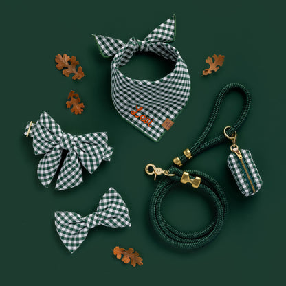 Evergreen Gingham Bow Tie Collar