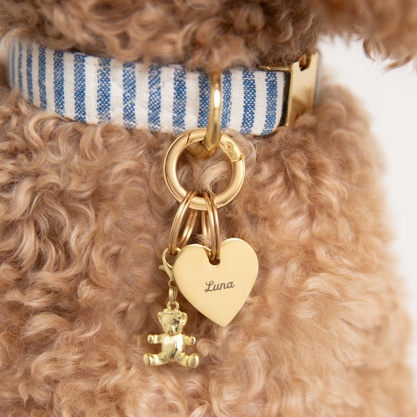 Gold Teddy Bear Collar Charm