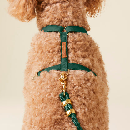 Evergreen Dog Harness