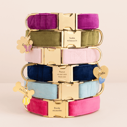 Hot Pink Velvet Dog Collar