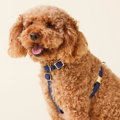 Ocean Dog Harness