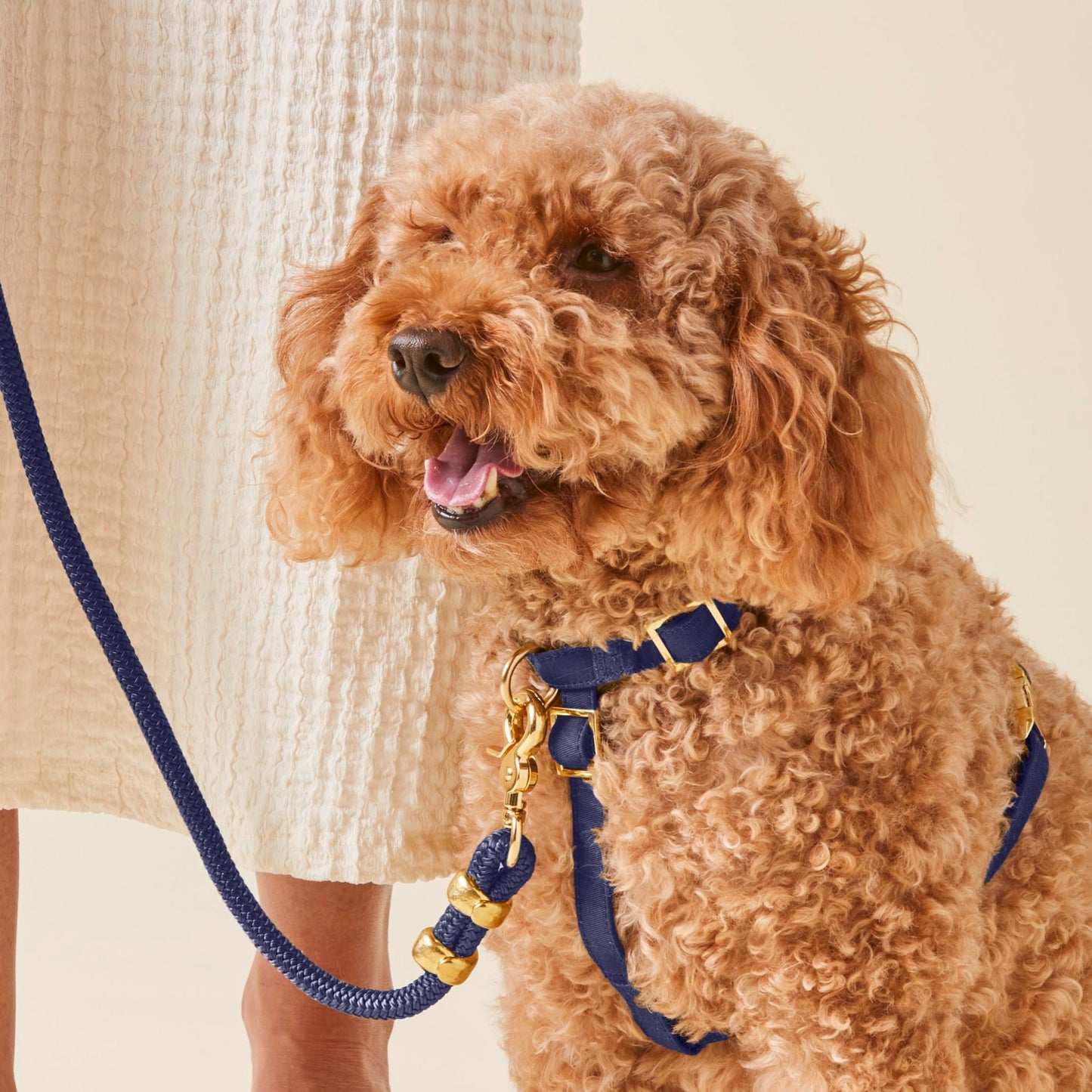 Ocean Dog Harness