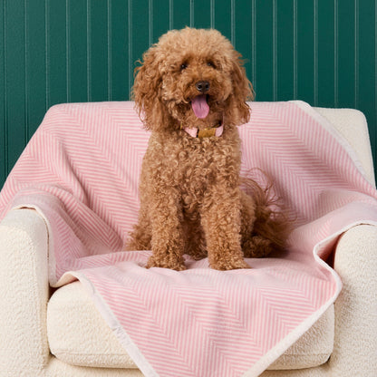 ChappyWrap Harborview Herringbone Blush Dog Blanket