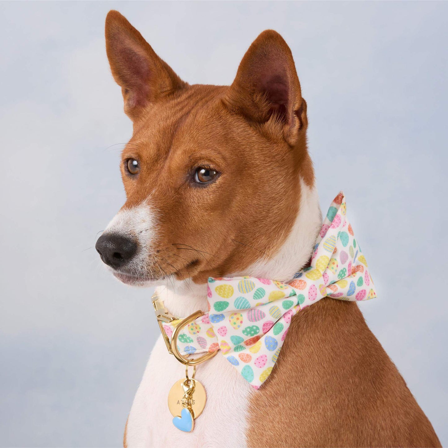 Easter Eggs Dog Bow Tie