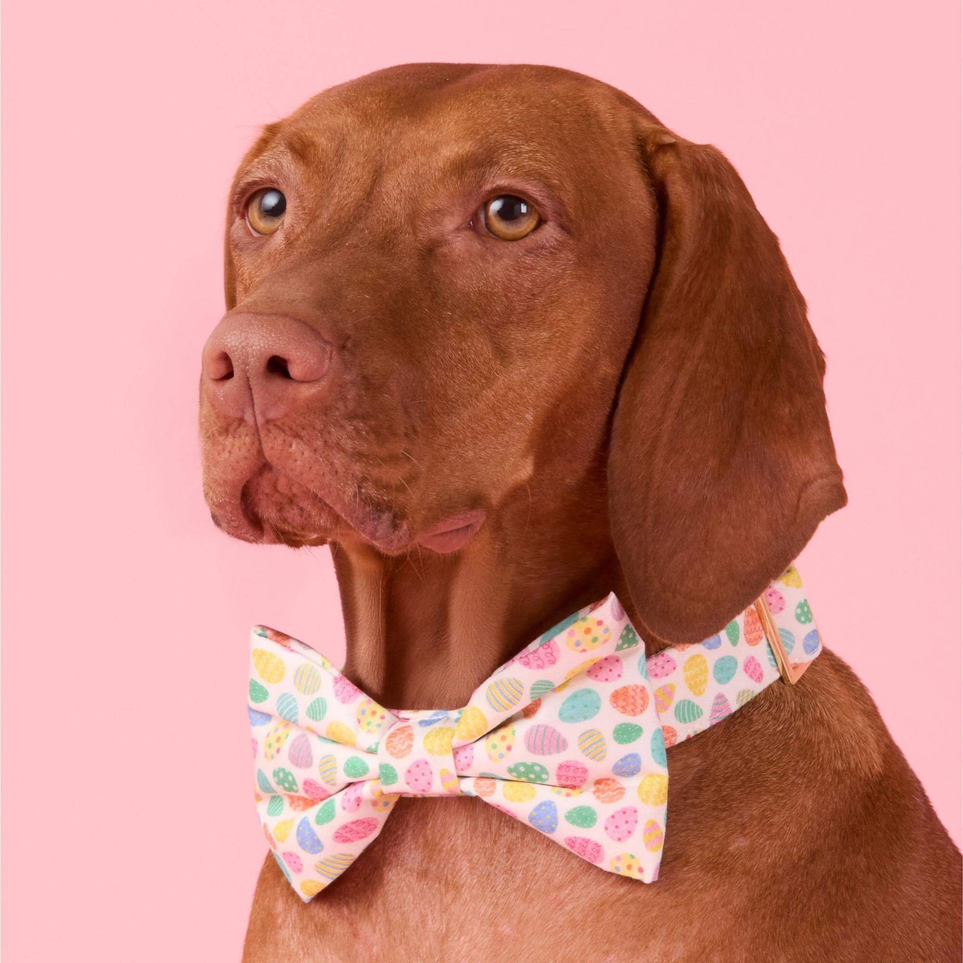 Easter Eggs Dog Bow Tie