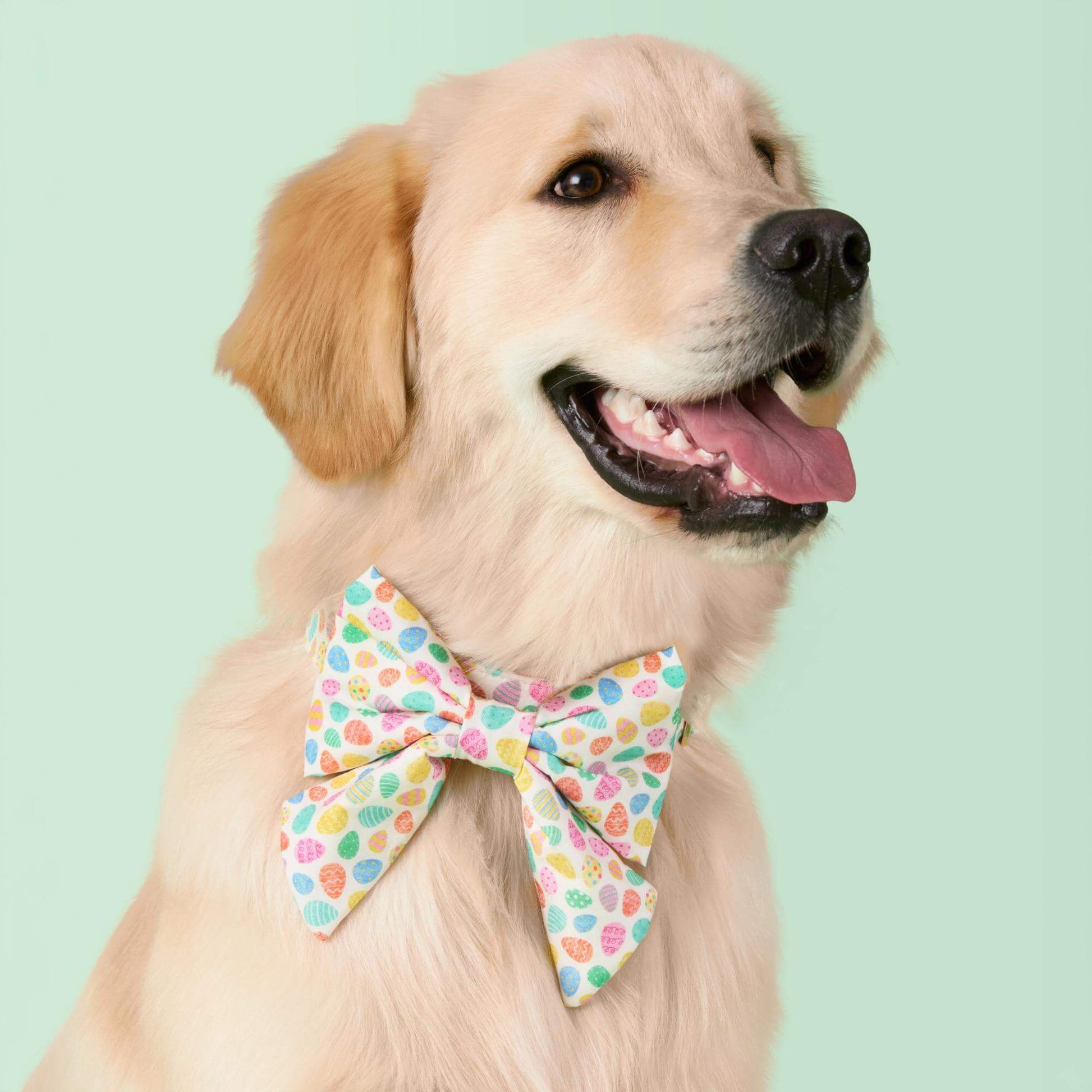 Easter Eggs Lady Dog Bow