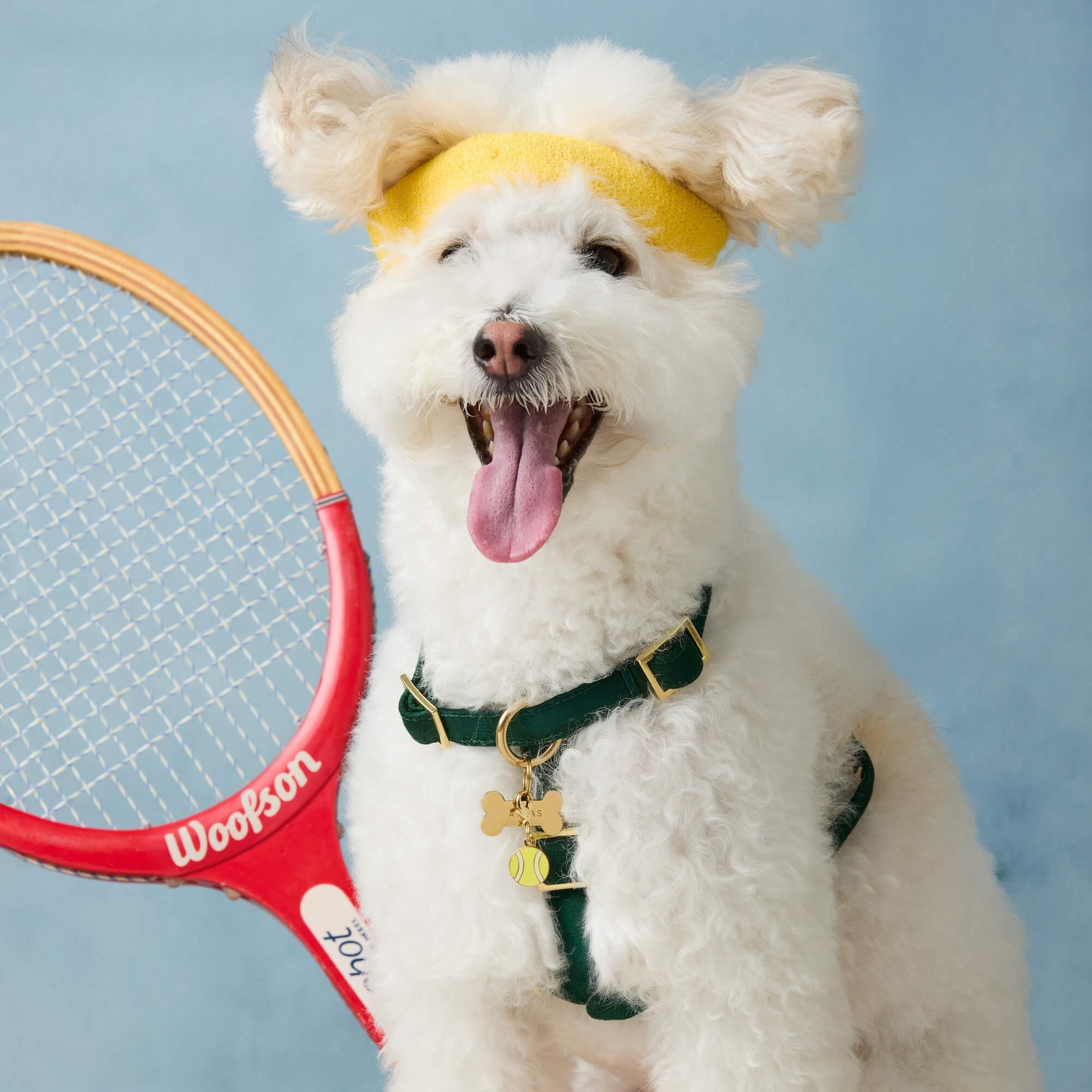 Evergreen Dog Harness