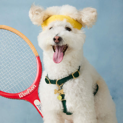 Evergreen Dog Harness