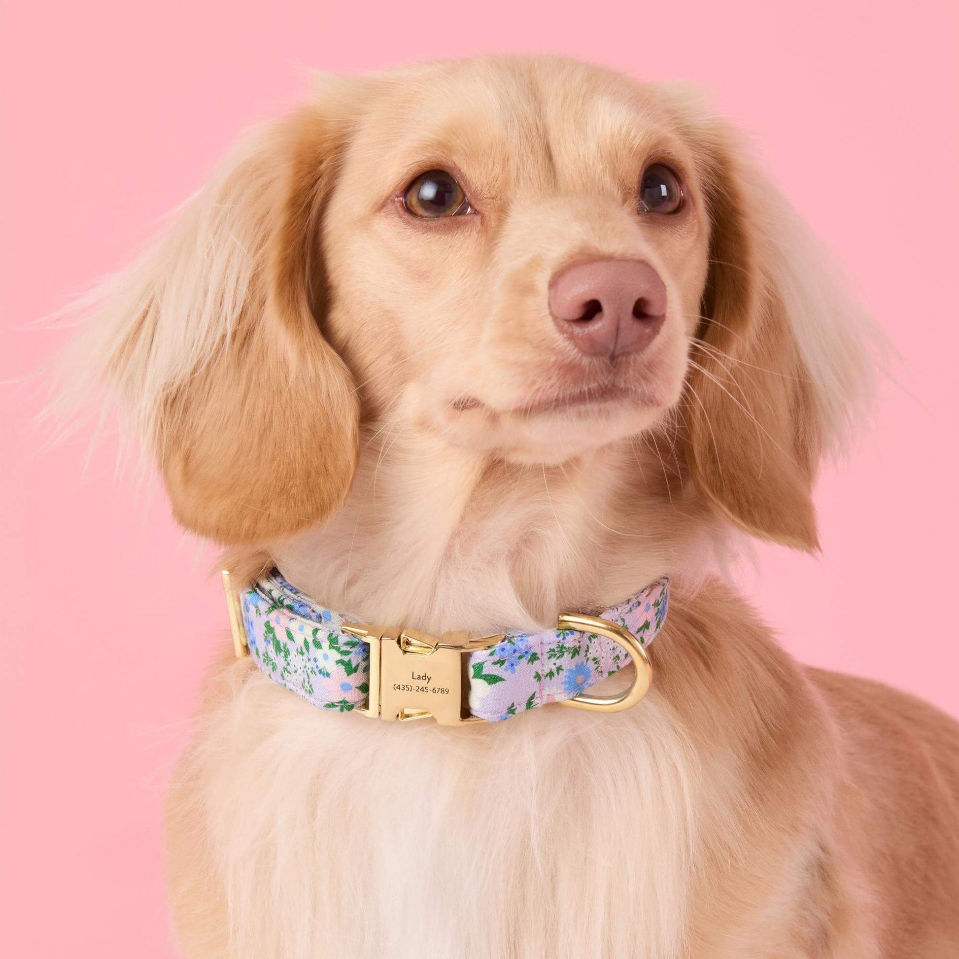Flora Dog Collar