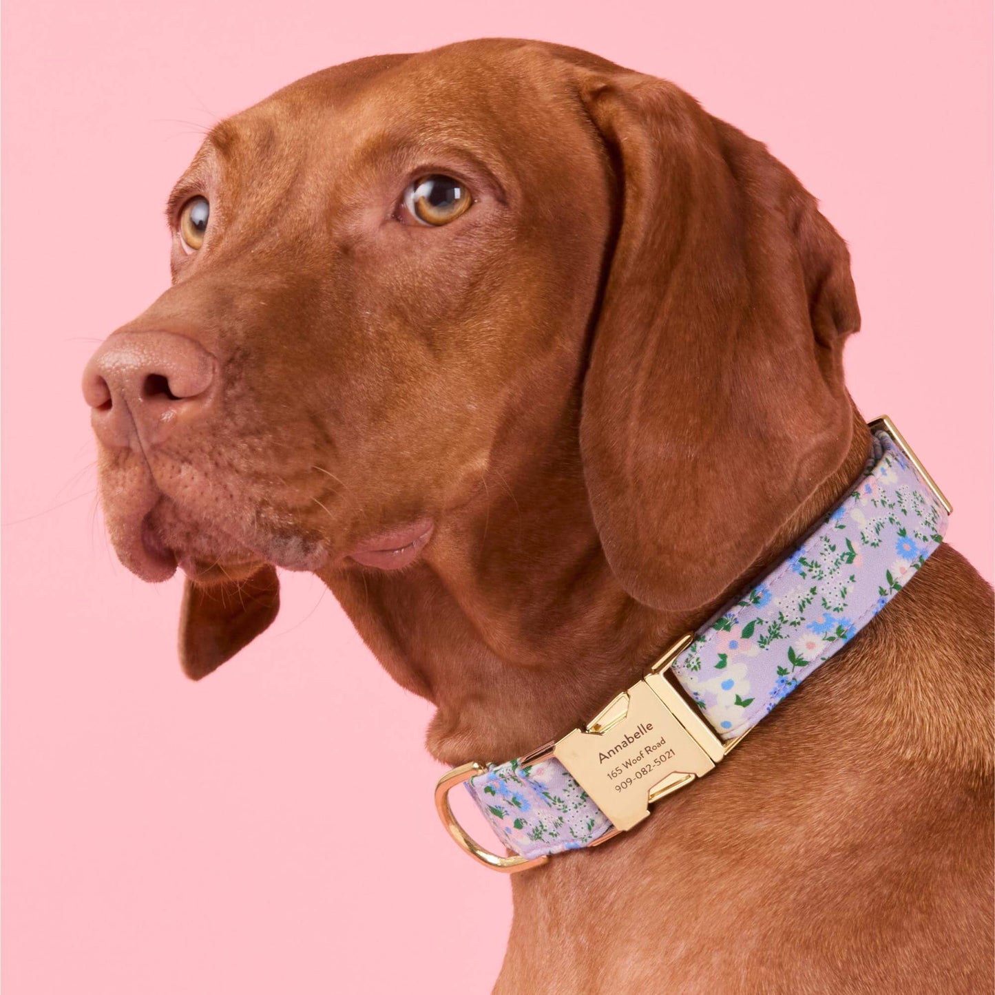 Flora Dog Collar