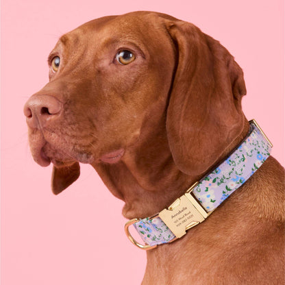Flora Dog Collar