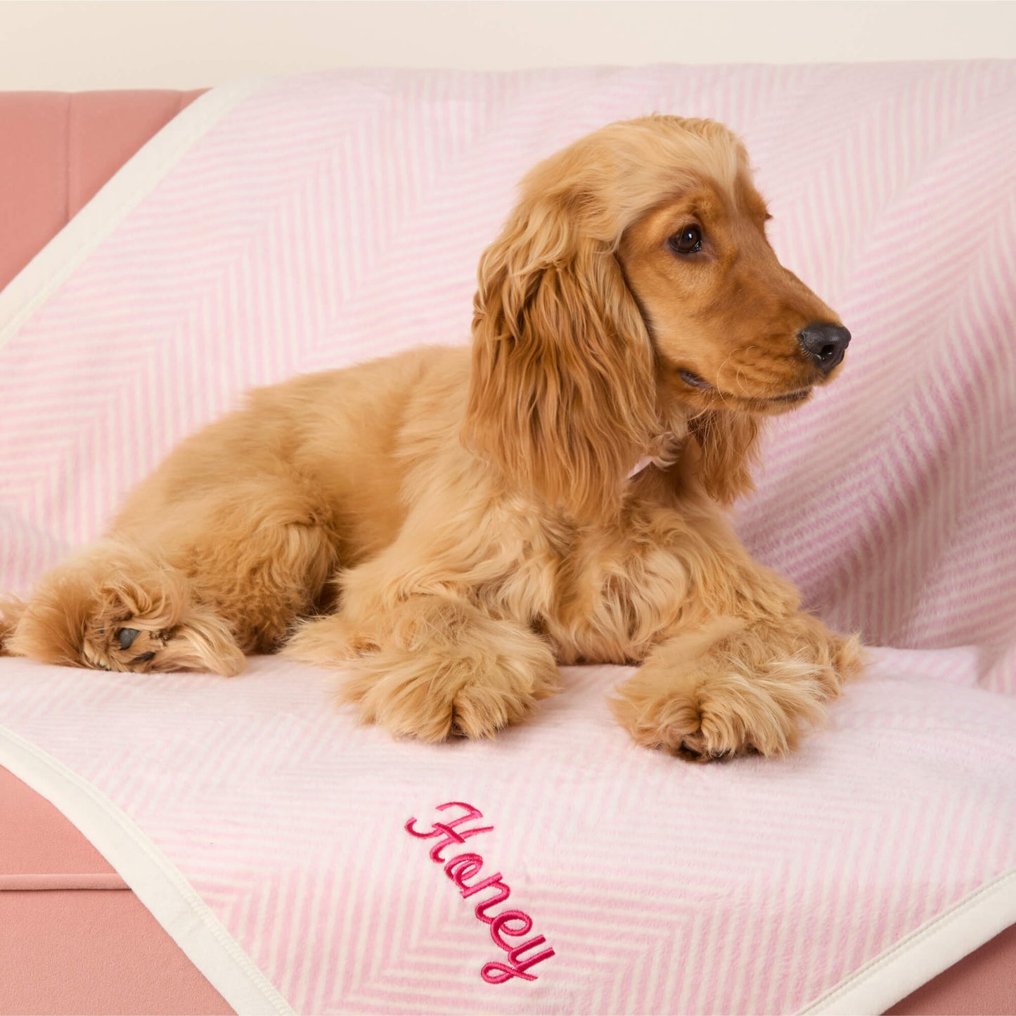 ChappyWrap Harborview Herringbone Blush Dog Blanket