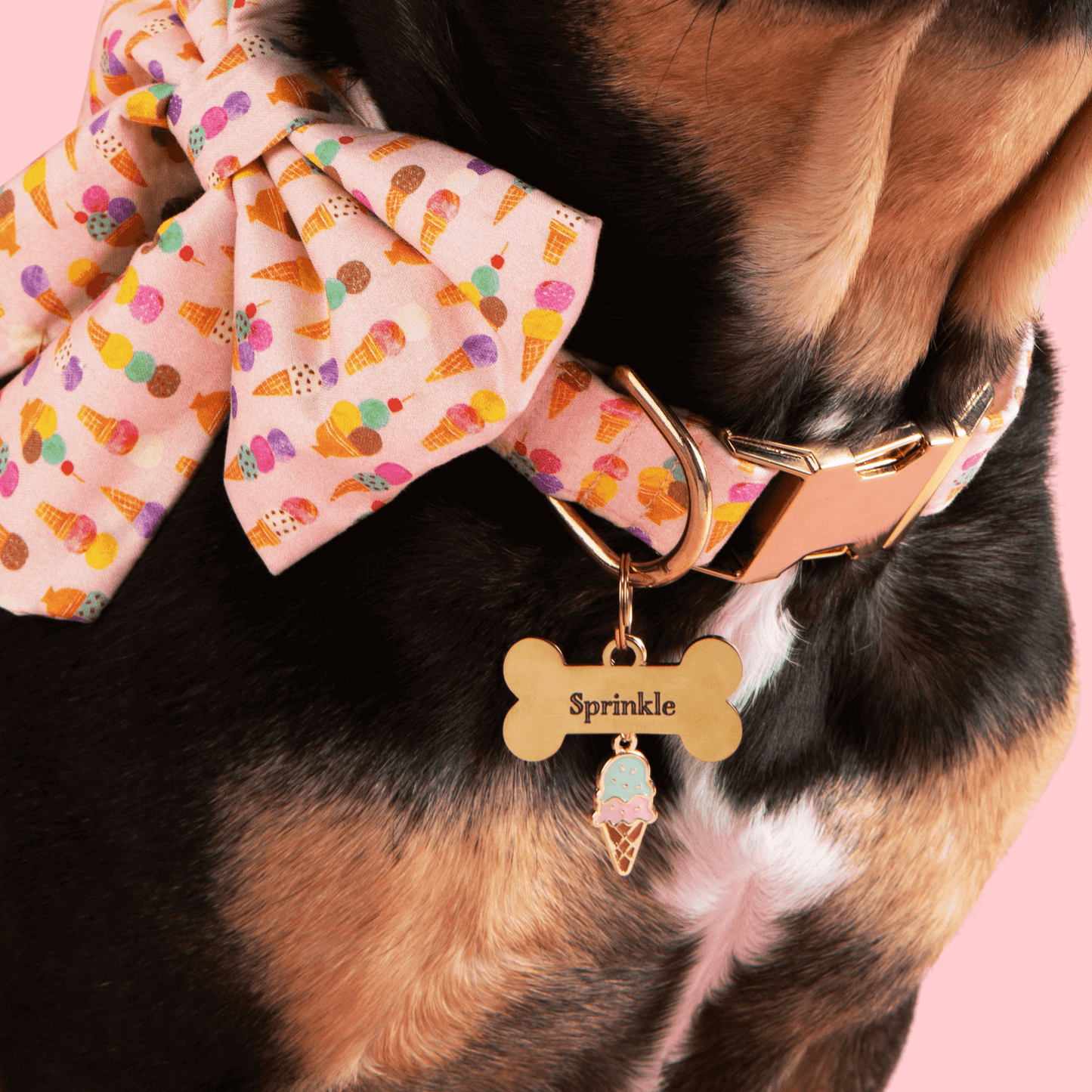 Bone Pet ID Tag