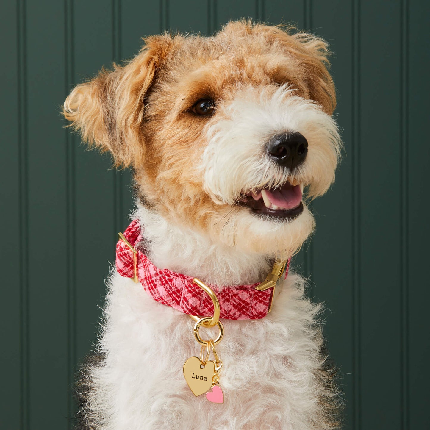 Heart Pet ID Tag