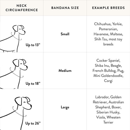 Pup, Pup, and Away Dog Bandana