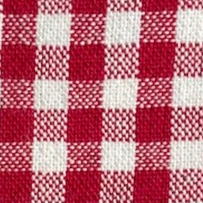 Red Gingham Collar Walk Set