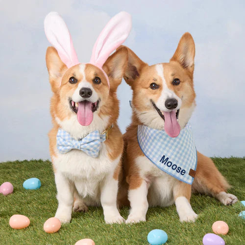 Easter 🐰