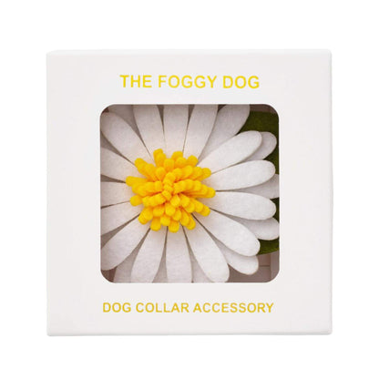 Daisy Dog Collar Flower Set