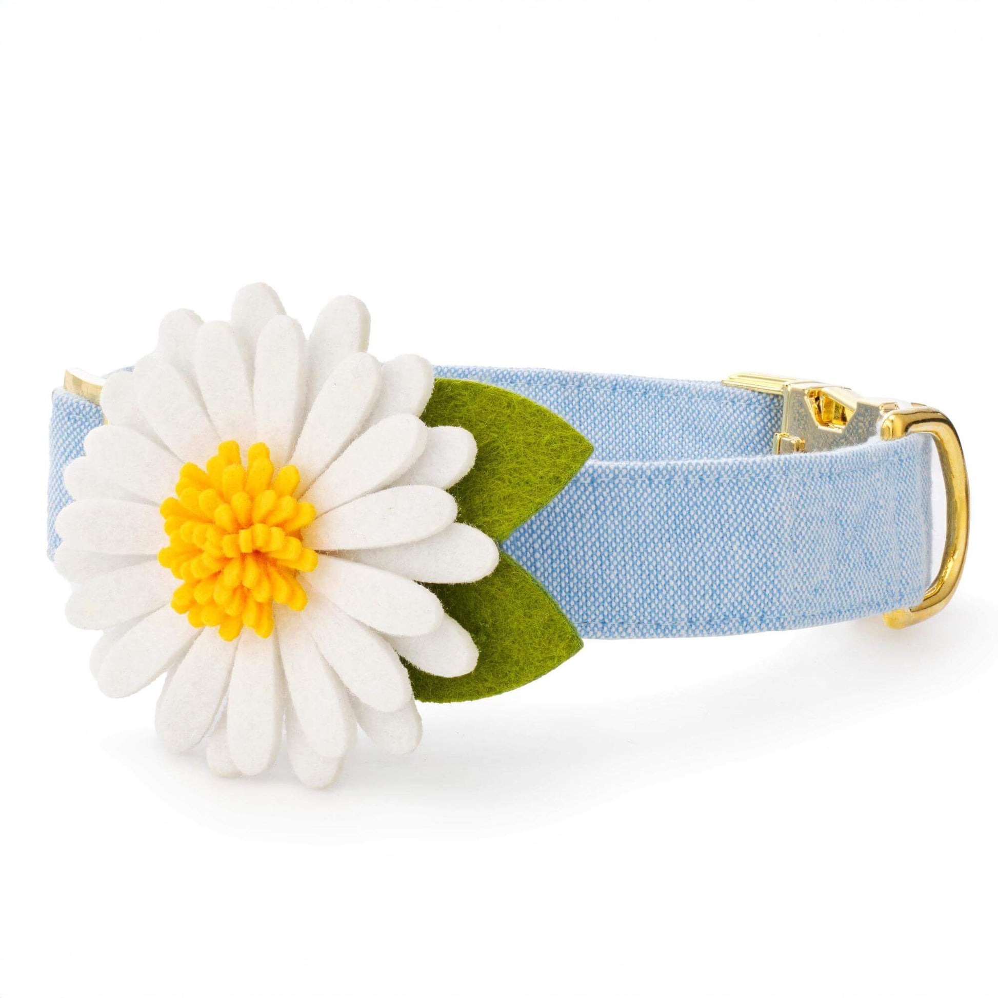 Daisy Dog Collar Flower Set
