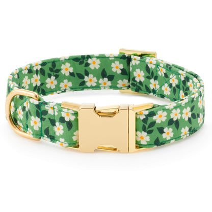 Dainty Daisies Collar Walk Set