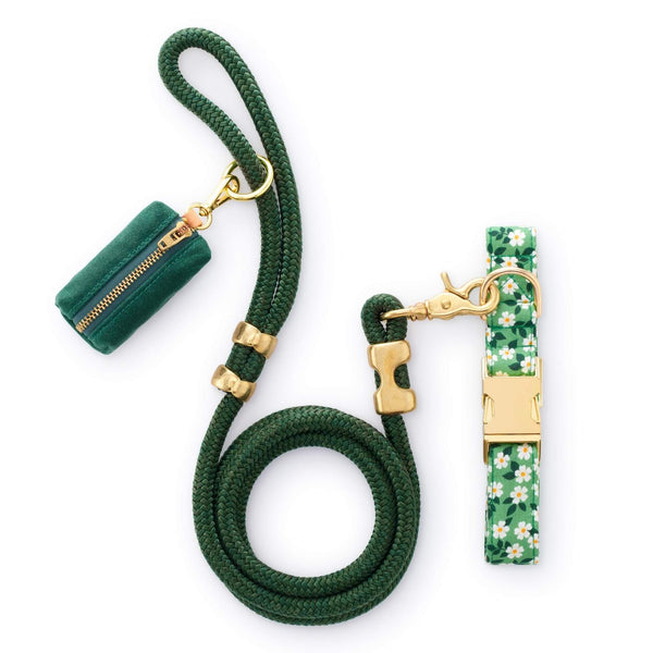 Dainty Daisies Collar Walk Set