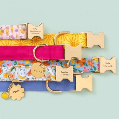 Circle Pet ID Tag