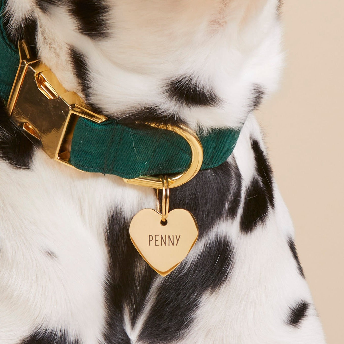 Heart Pet ID Tag