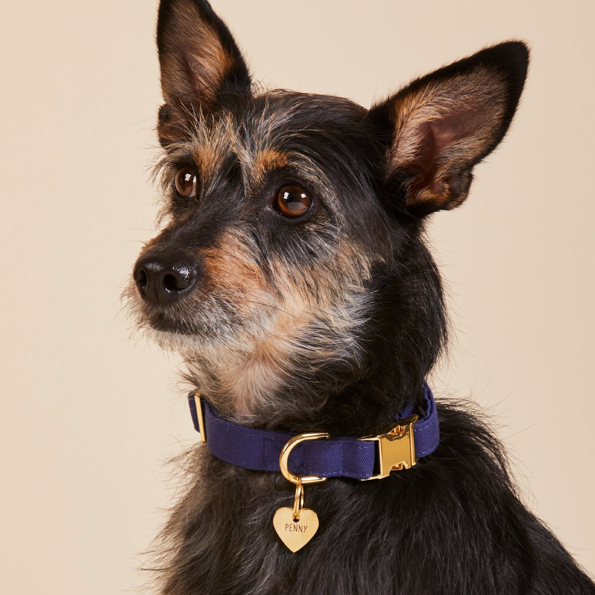 Heart Pet ID Tag
