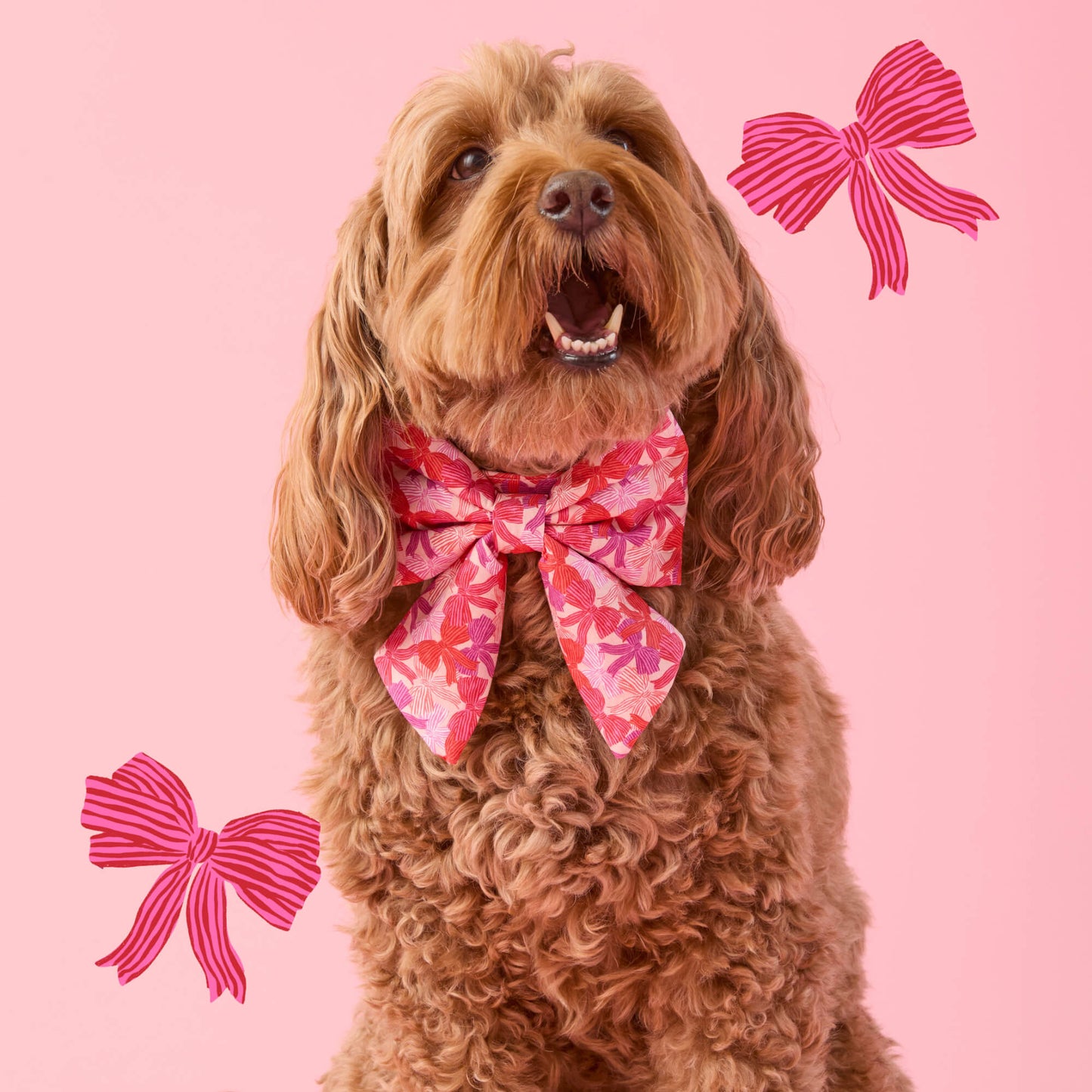 Take a Bow Lady Dog Bow
