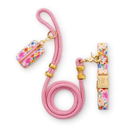 Margaux Collar Walk Set