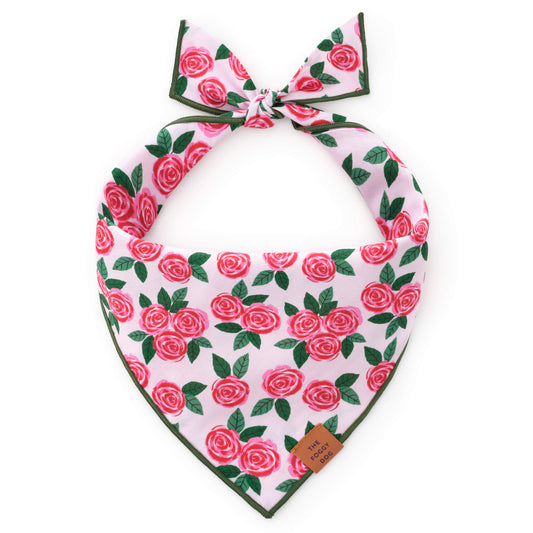 Rosette Dog Bandana