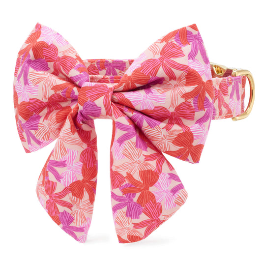 Take a Bow Lady Bow Collar
