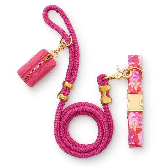 Take a Bow Collar Walk Set