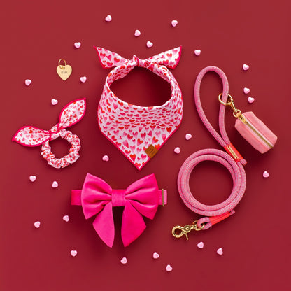 Hot Pink Velvet Dog Collar